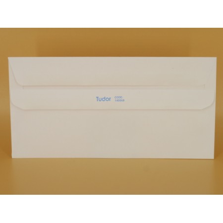 DL - 110x220 - Standard White