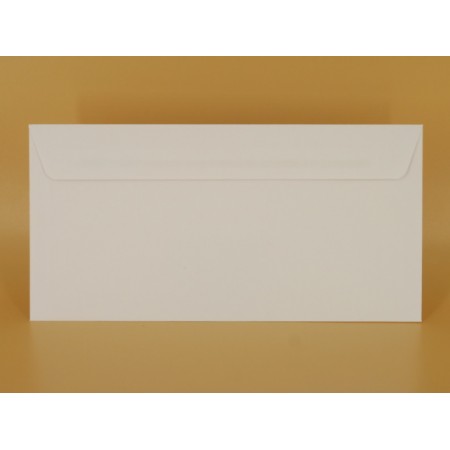 DL - 110x220 - Standard White